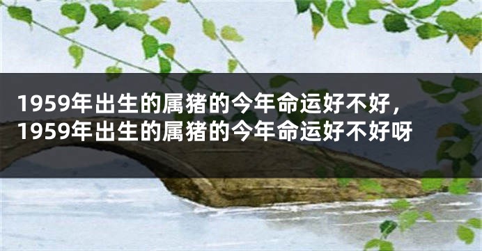 1959年出生的属猪的今年命运好不好，1959年出生的属猪的今年命运好不好呀