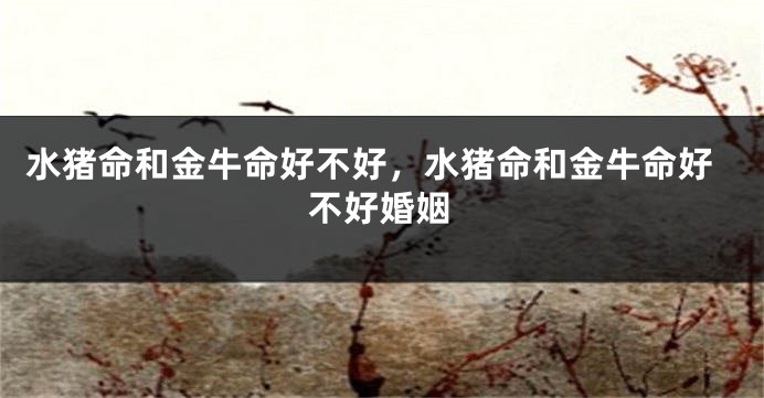 水猪命和金牛命好不好，水猪命和金牛命好不好婚姻