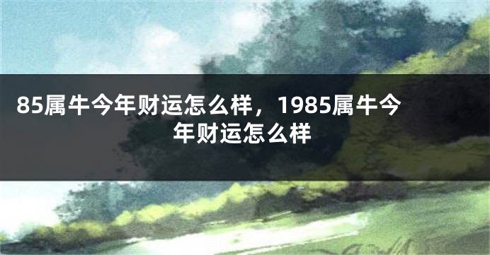 85属牛今年财运怎么样,1985属牛今年财运怎么样