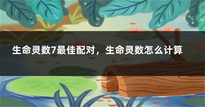 生命灵数7最佳配对，生命灵数怎么计算