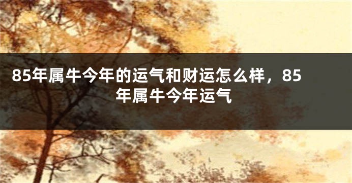 85年属牛今年的运气和财运怎么样，85年属牛今年运气