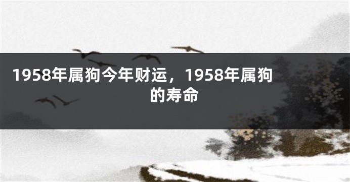 1958年属狗今年财运,1958年属狗的寿命