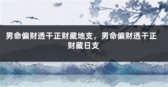 男命偏财透干正财藏地支,男命偏财透干正财藏日支