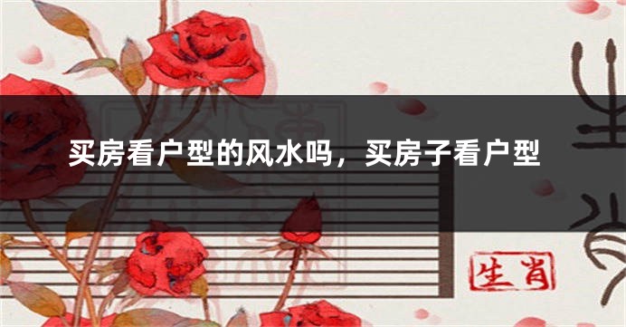 买房看户型的风水吗,买房子看户型