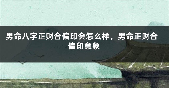 男命八字正财合偏印会怎么样,男命正财合偏印意象