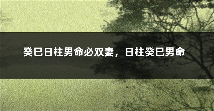 癸巳日柱男命必双妻,日柱癸巳男命