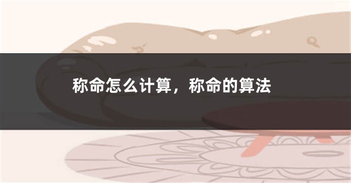 称命怎么计算,称命的算法