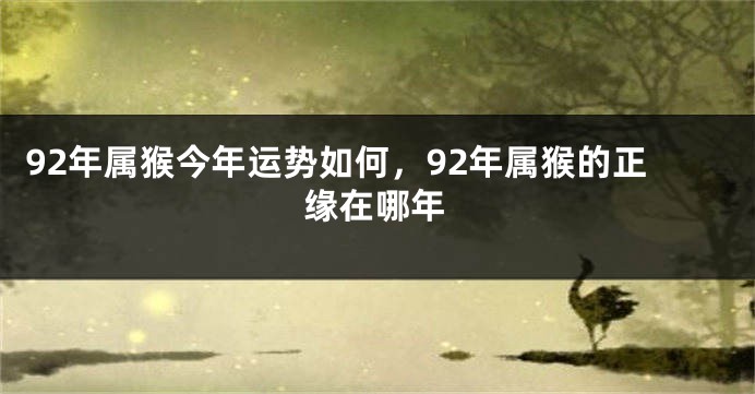 92年属猴今年运势如何,92年属猴的正缘在哪年