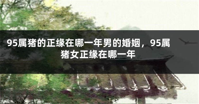 95属猪的正缘在哪一年男的婚姻，95属猪女正缘在哪一年