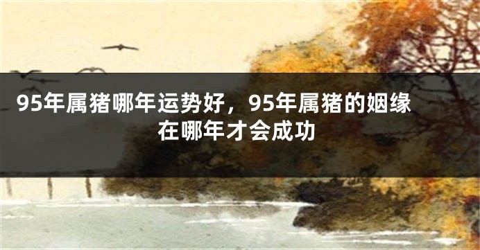 95年属猪哪年运势好，95年属猪的姻缘在哪年才会成功