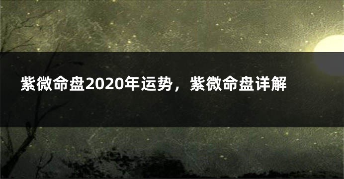紫微命盘2020年运势,紫微命盘详解