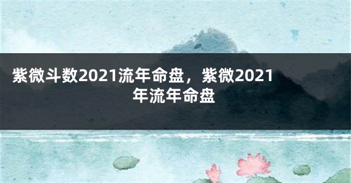 紫微斗数2021流年命盘,紫微2021年流年命盘