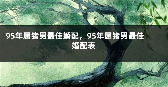 95年属猪男最佳婚配,95年属猪男最佳婚配表
