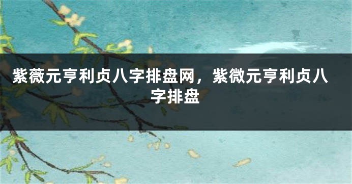 紫薇元亨利贞八字排盘网，紫微元亨利贞八字排盘