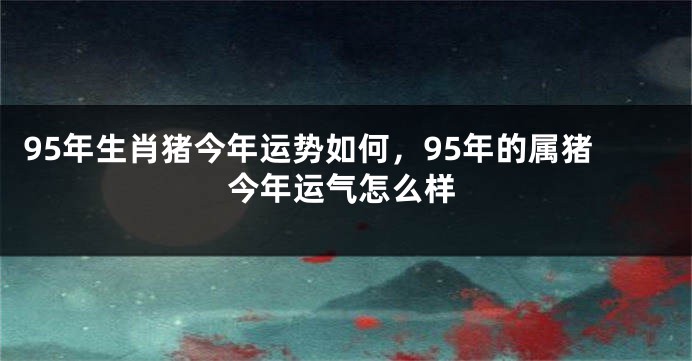 95年生肖猪今年运势如何,95年的属猪今年运气怎么样