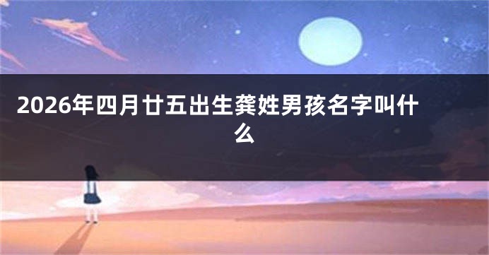 2026年四月廿五出生龚姓男孩名字叫什么
