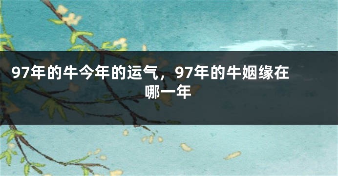 97年的牛今年的运气，97年的牛姻缘在哪一年