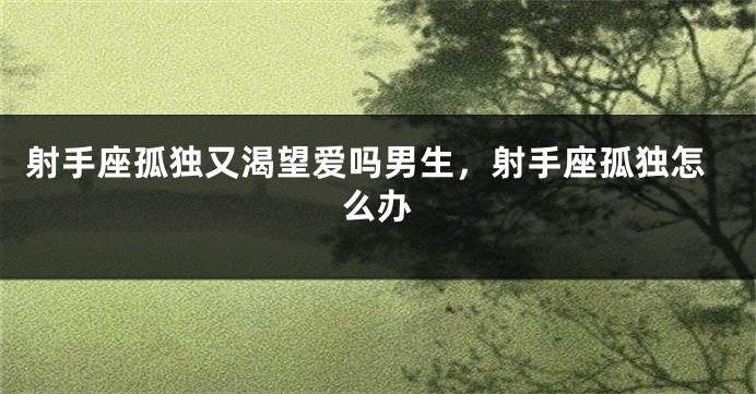 射手座孤独又渴望爱吗男生,射手座孤独怎么办