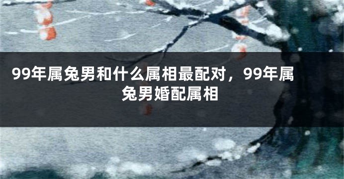 99年属兔男和什么属相最配对，99年属兔男婚配属相
