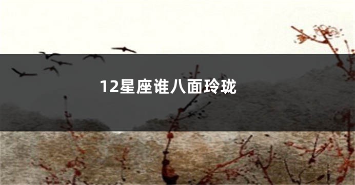 12星座谁八面玲珑