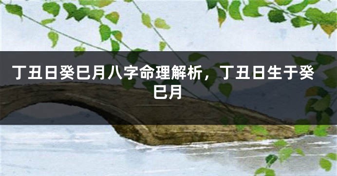 丁丑日癸巳月八字命理解析，丁丑日生于癸巳月