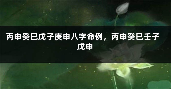 丙申癸巳戊子庚申八字命例,丙申癸巳壬子戊申