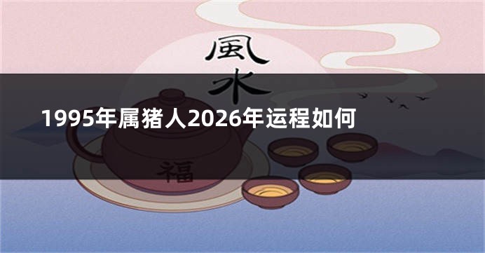 1995年属猪人2026年运程如何