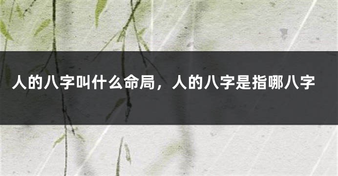 人的八字叫什么命局,人的八字是指哪八字