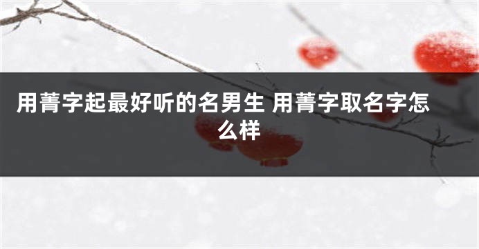 用菁字起最好听的名男生 用菁字取名字怎么样