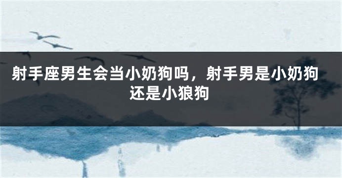 射手座男生会当小奶狗吗，射手男是小奶狗还是小狼狗
