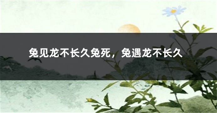 兔见龙不长久兔死，兔遇龙不长久