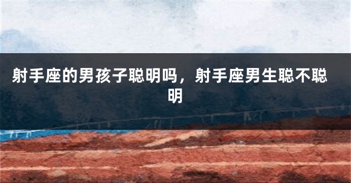 射手座的男孩子聪明吗，射手座男生聪不聪明