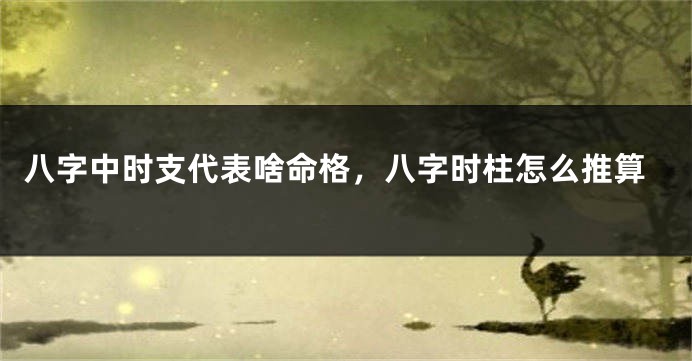 八字中时支代表啥命格，八字时柱怎么推算