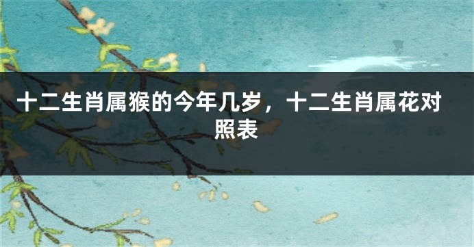 十二生肖属猴的今年几岁,十二生肖属花对照表