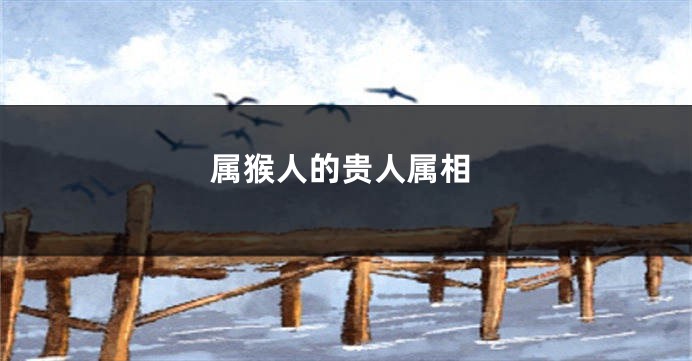 属猴人的贵人属相