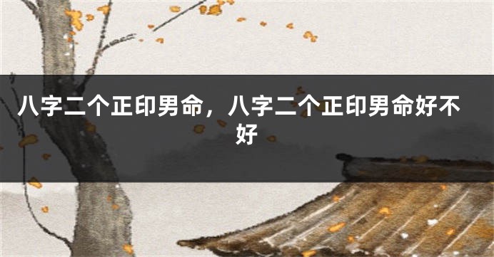 八字二个正印男命，八字二个正印男命好不好