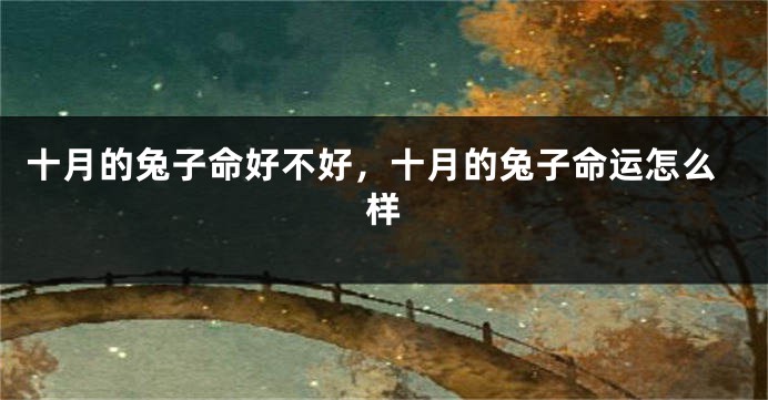 十月的兔子命好不好,十月的兔子命运怎么样