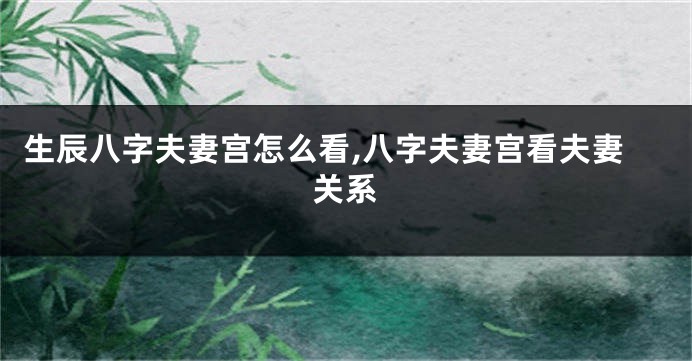生辰八字夫妻宫怎么看,八字夫妻宫看夫妻关系