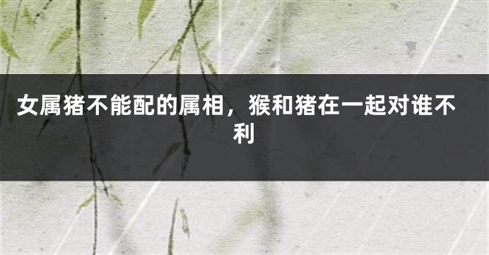 女属猪不能配的属相,猴和猪在一起对谁不利