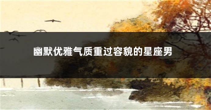 幽默优雅气质重过容貌的星座男
