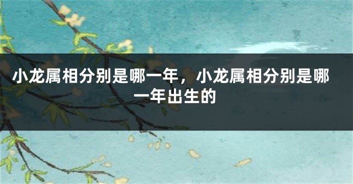 小龙属相分别是哪一年,小龙属相分别是哪一年出生的