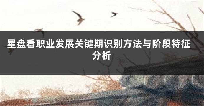 星盘看职业发展关键期识别方法与阶段特征分析