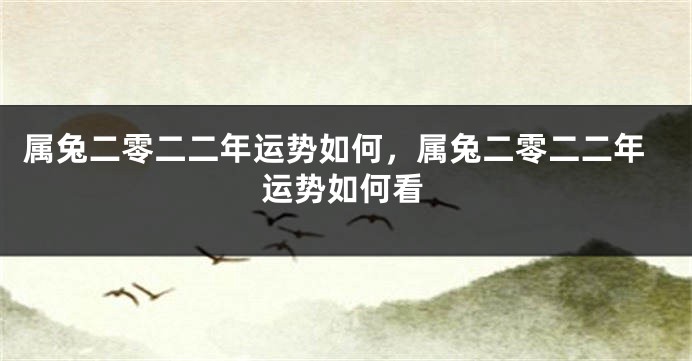 属兔二零二二年运势如何，属兔二零二二年运势如何看