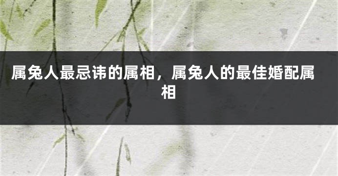 属兔人最忌讳的属相，属兔人的最佳婚配属相