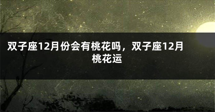 双子座12月份会有桃花吗,双子座12月桃花运
