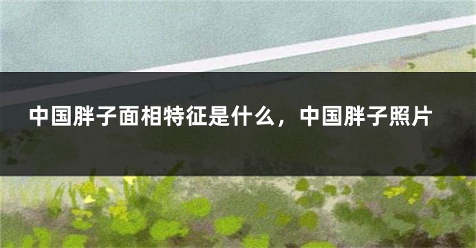中国胖子面相特征是什么,中国胖子照片