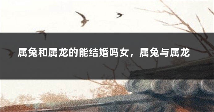 属兔和属龙的能结婚吗女，属兔与属龙