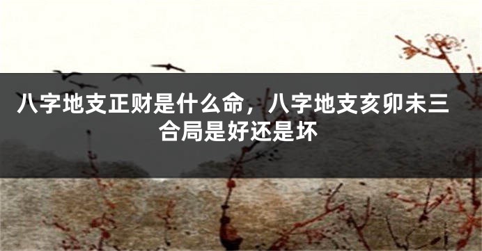 八字地支正财是什么命，八字地支亥卯未三合局是好还是坏