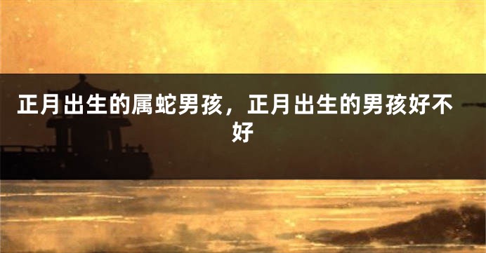 正月出生的属蛇男孩，正月出生的男孩好不好