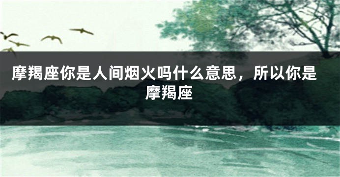 摩羯座你是人间烟火吗什么意思,所以你是摩羯座